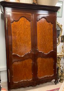 Armoire en bois foncé à deux portes et panneaux ornés de tons clairs.