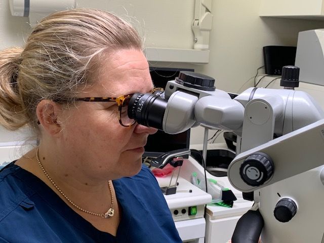 Instrument dentaire à l'intérieur d'une bouche.