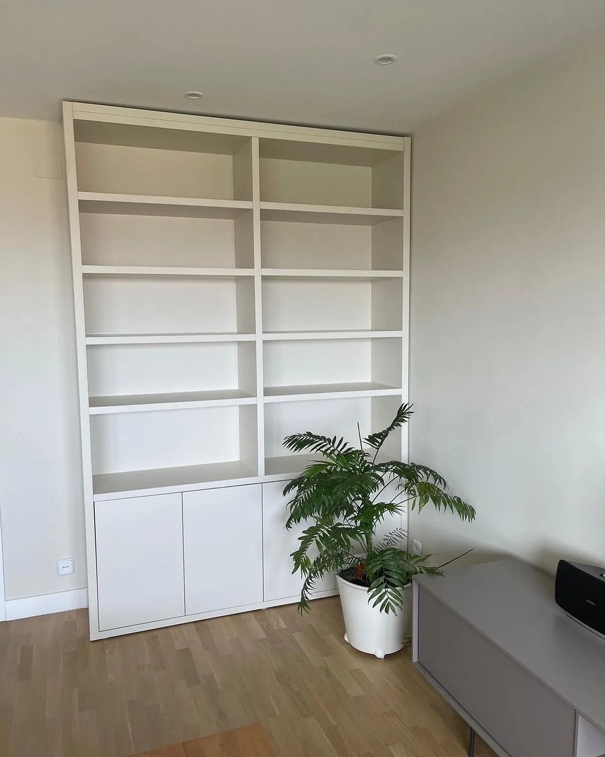 Una sala de estar con una estantería y una planta en maceta.