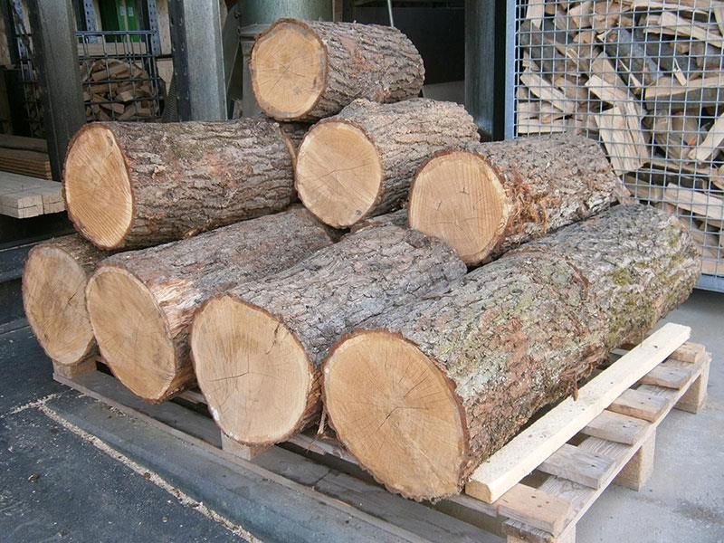 Ein Stapel übereinander gestapelter Baumstämme auf einer Holzpalette