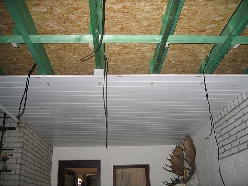 Ein Elchkopf hängt von der Decke eines Zimmers