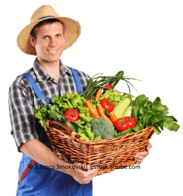 Mitarbeiter bei einer Gemüselieferung für Hotels bei Bamberg
