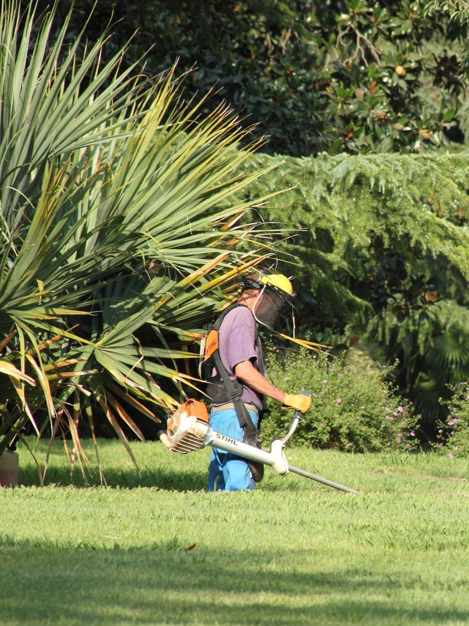 Jardinier débroussaillant un jardin