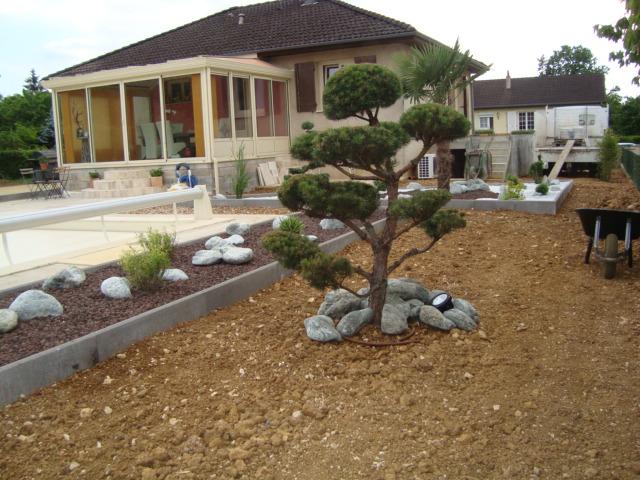 Aménagements paysagers avec bonsaii