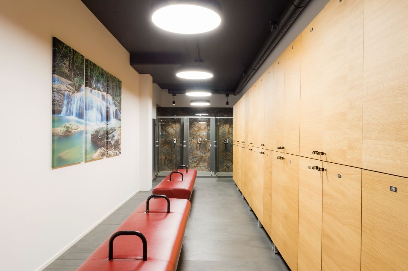 FOCUS Fitness und Diagnostik AG