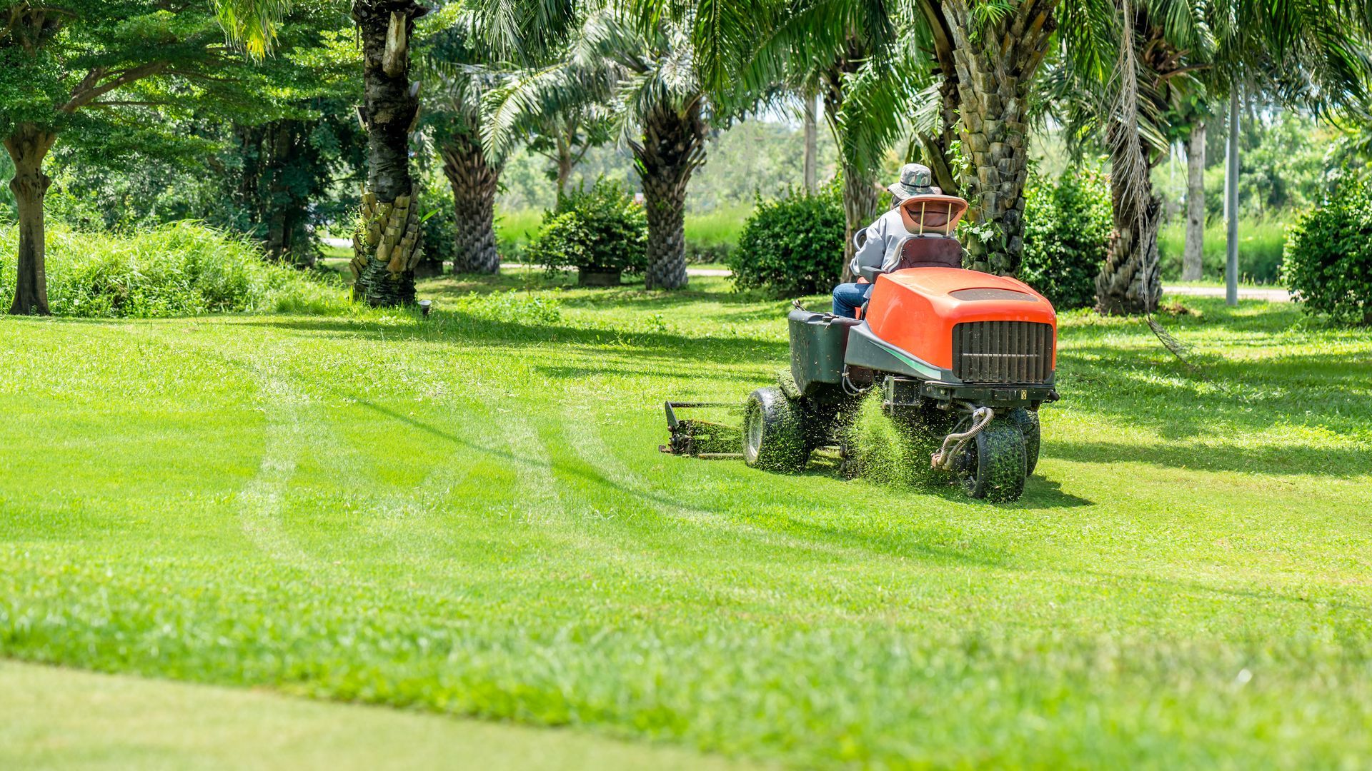 Une personne tond une pelouse d'un vert éclatant avec un tracteur rouge dans un cadre ressemblant à un parc.