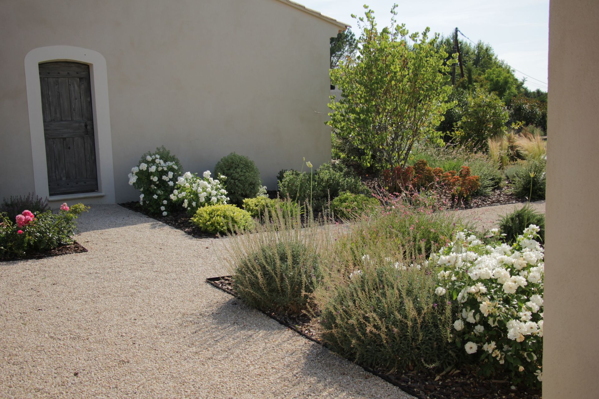 Allée de gravier dans un jardin bordant une maison beige, agrémentée d'arbustes fleuris et de hautes herbes baignées de soleil.