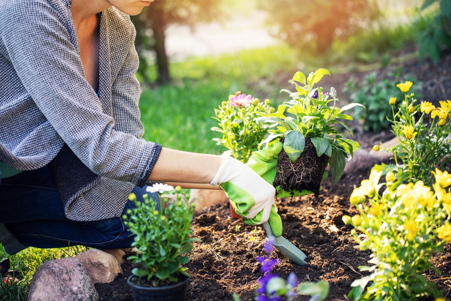 Une personne plante des fleurs dans un jardin ensoleillé avec une truelle et des gants.