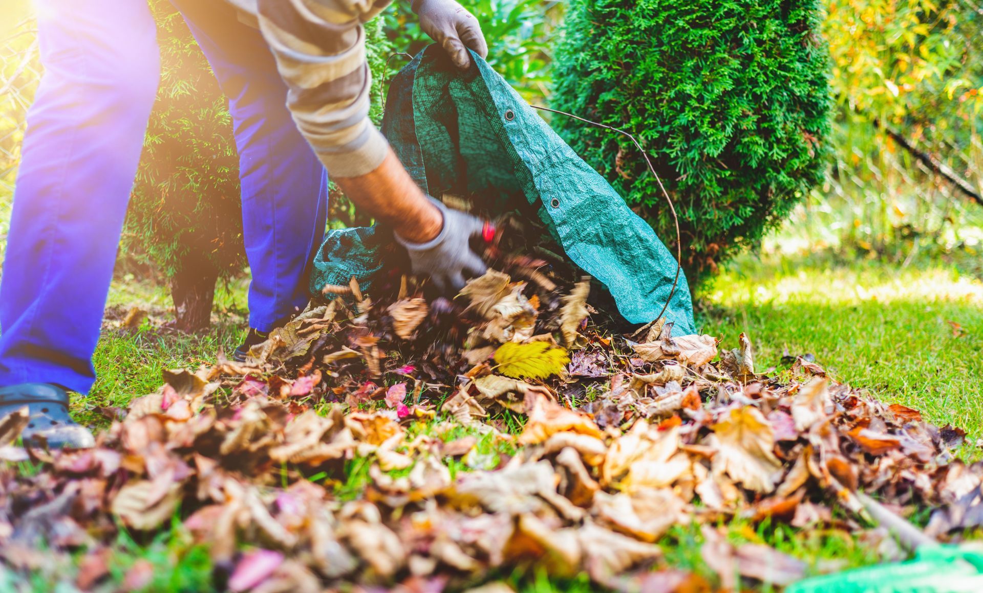 Deux personnes ratissent les feuilles mortes en un tas dans un jardin ensoleillé.