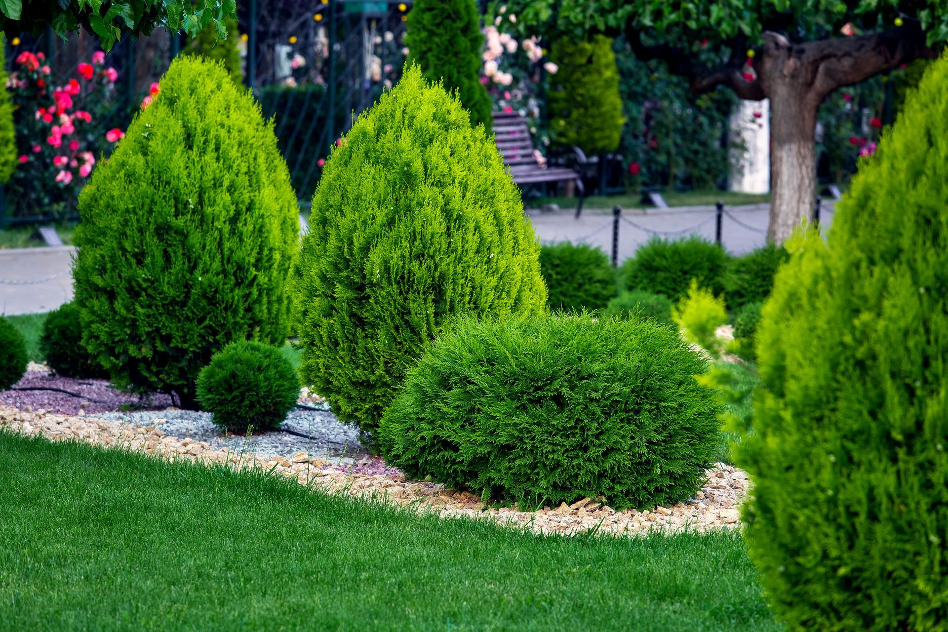 Un jardin paysager agrémenté d'arbustes verdoyants et de conifères, d'une pelouse et de fleurs.