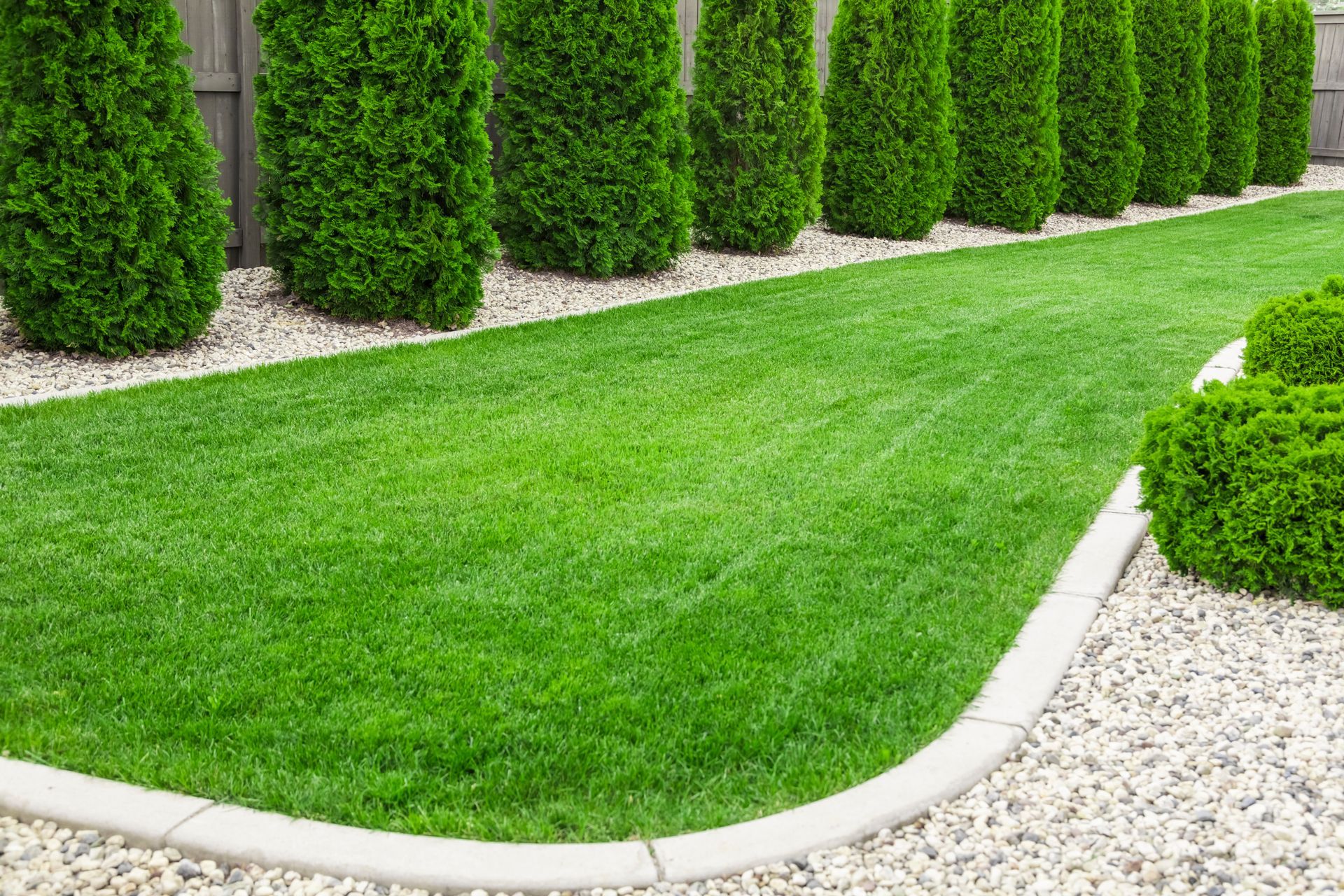 Pelouse verte bordée de gravier et de grands arbustes taillés dans un jardin paysager.