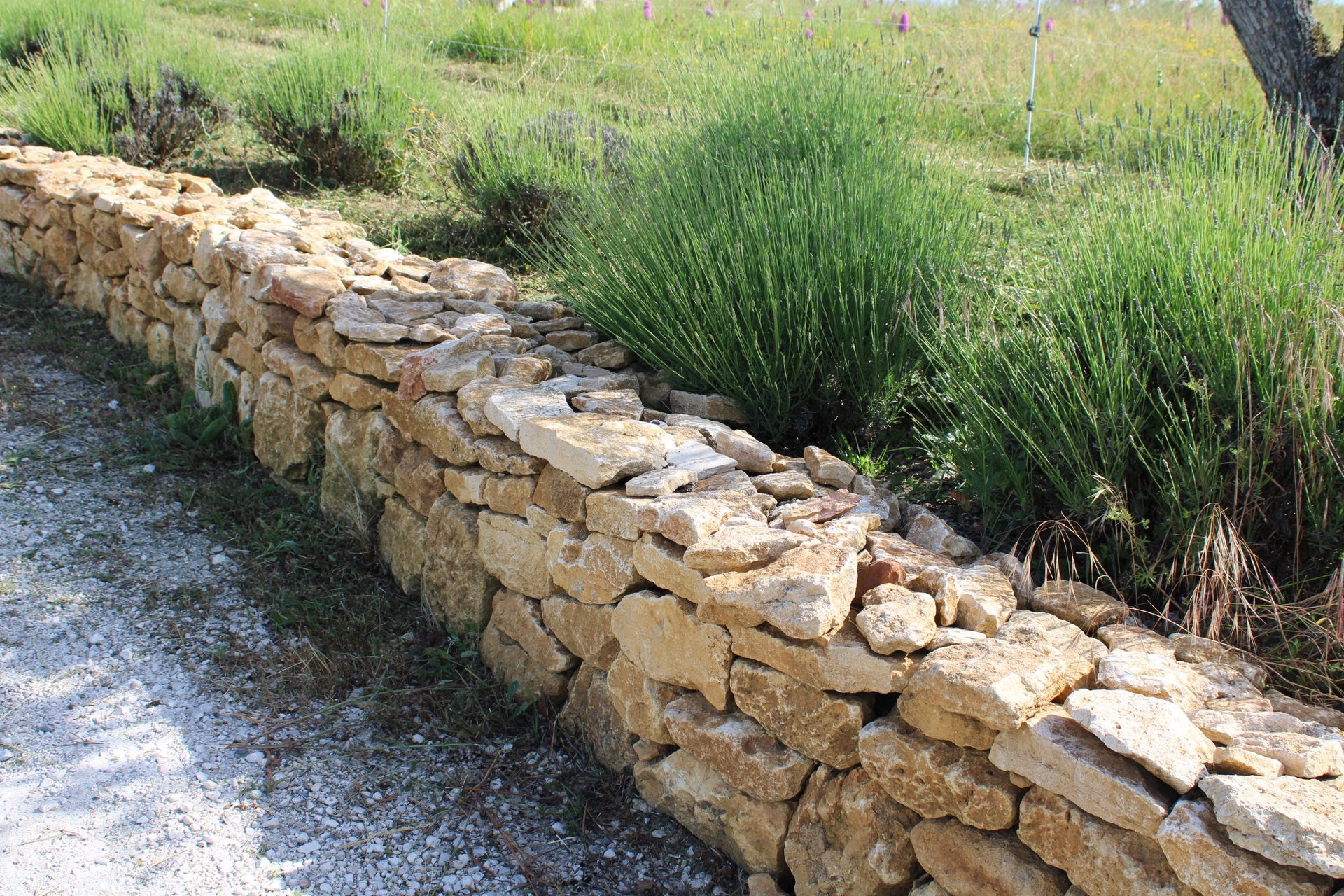 Mur de soutènement en pierre bordant un chemin de gravier, avec des bosquets verts dans un champ ensoleillé.