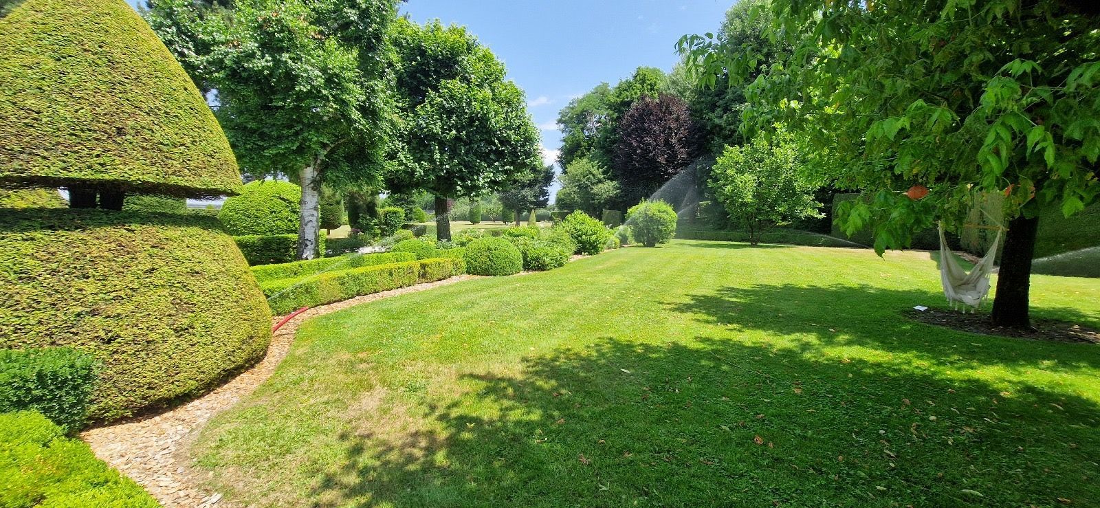 Jardin ensoleillé avec haies taillées, pelouse verte et arbres bordant un chemin sinueux.