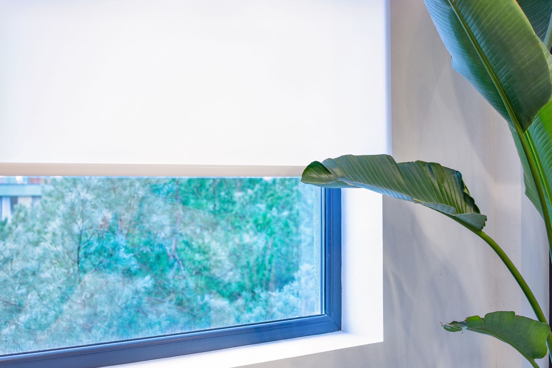 Sonnenschutz-Rollos im Innenbereich