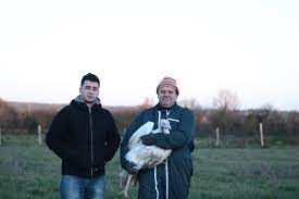 Ferme de la Bregeonnerie