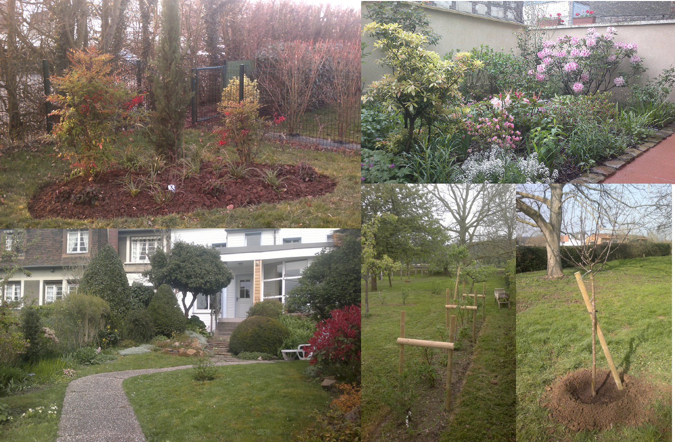 Plantation d'arbres dans un jardin