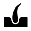 Un icono en blanco y negro de un folículo piloso sobre un fondo blanco.