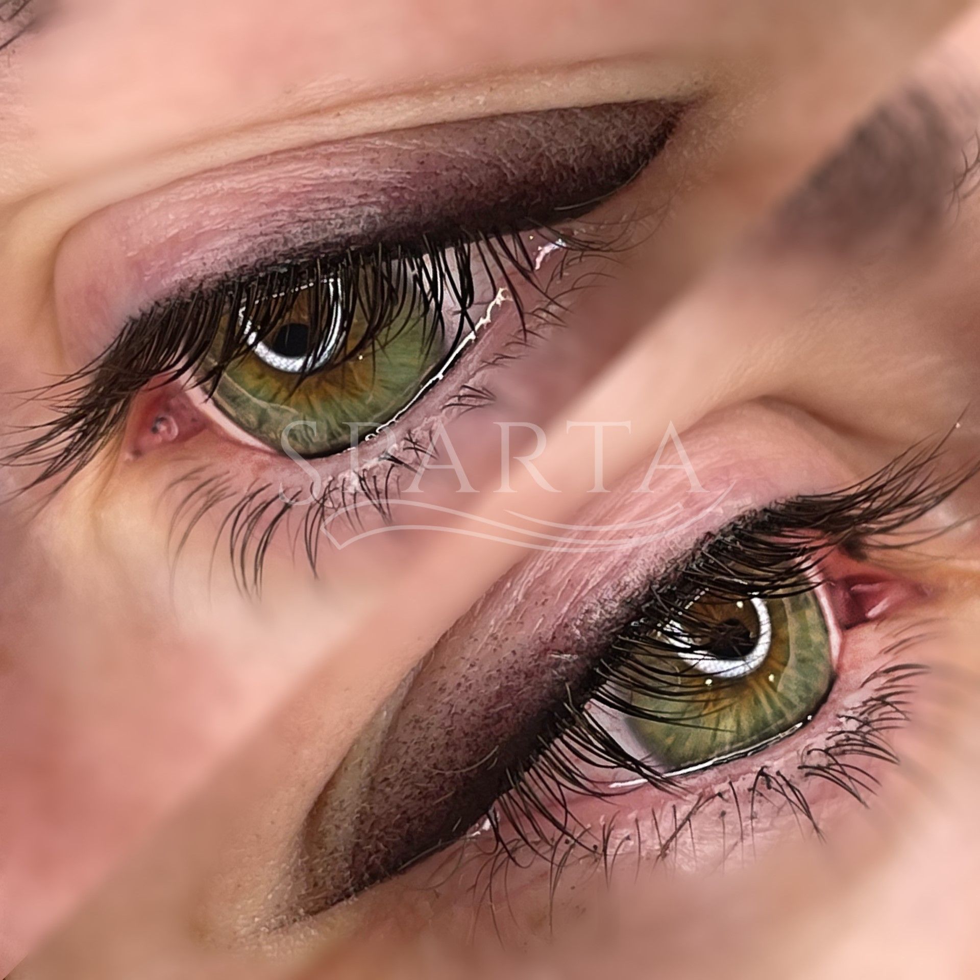 Un primer plano de los ojos de una mujer con pestañas largas.