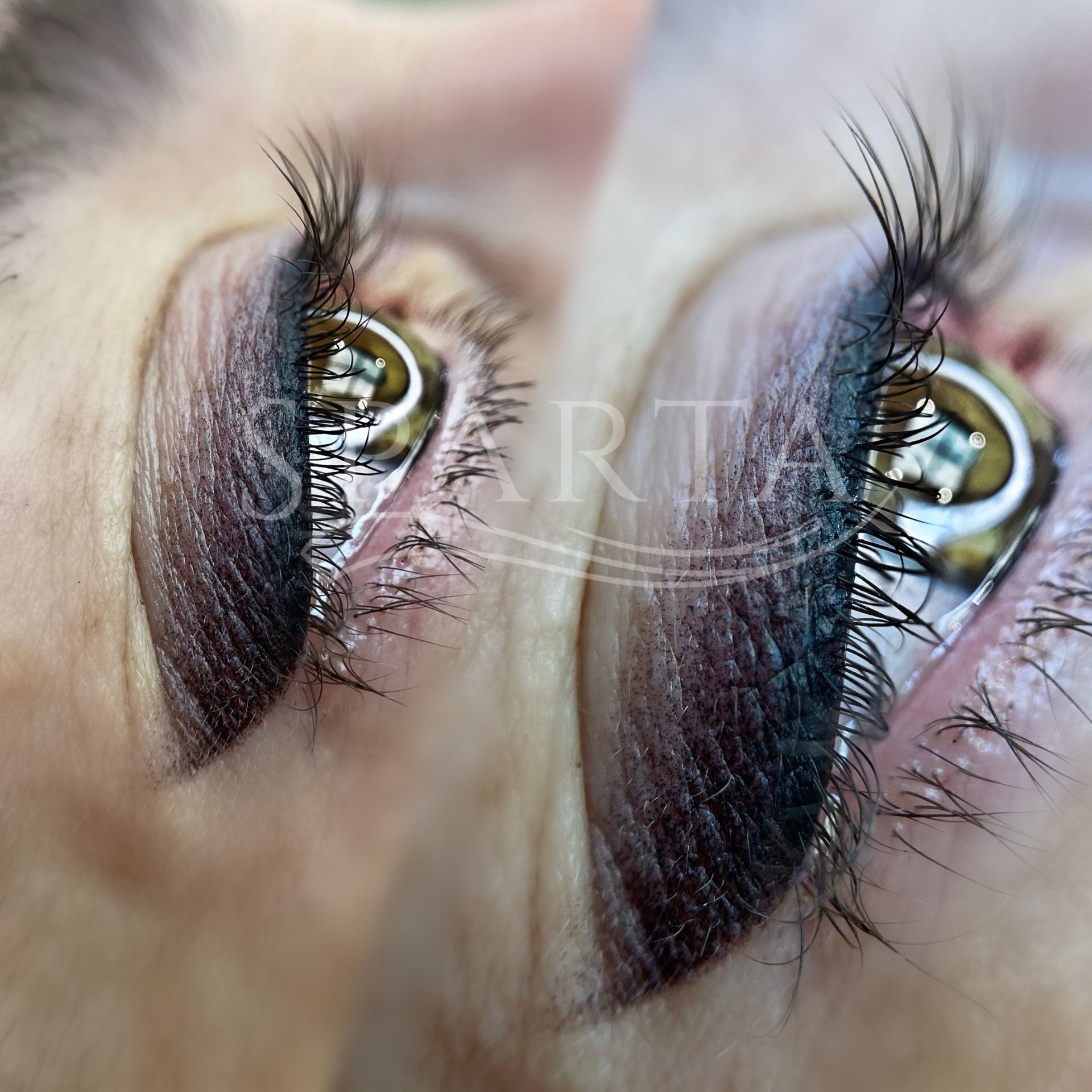 Un primer plano del ojo de una mujer con pestañas largas.