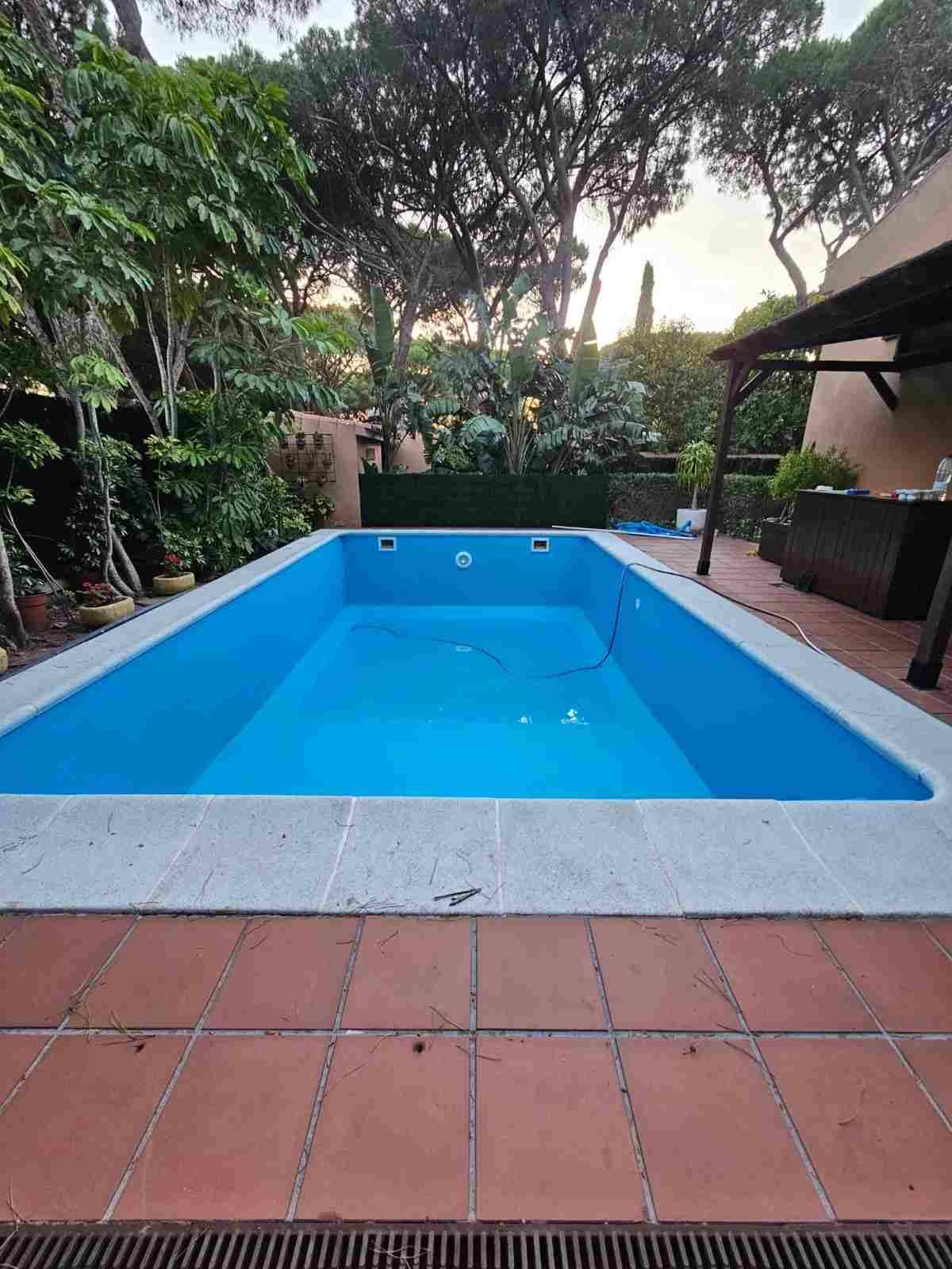 Piscina azul en el patio trasero, rodeada de baldosas de terracota y frondosos árboles verdes