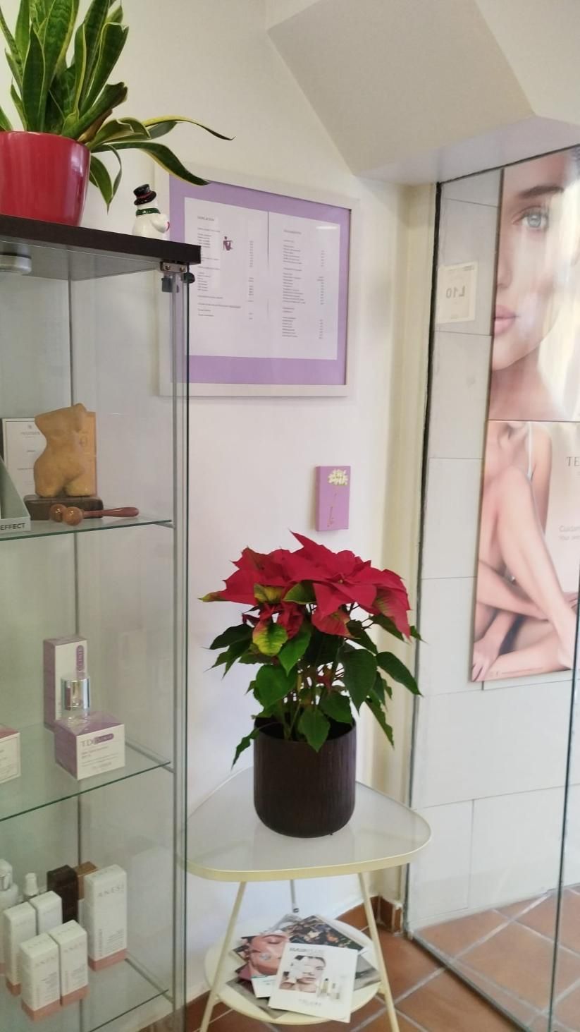 Planta en maceta sobre una mesa pequeña en un entorno tipo spa con vitrina de vidrio y póster de cuidado de la piel.