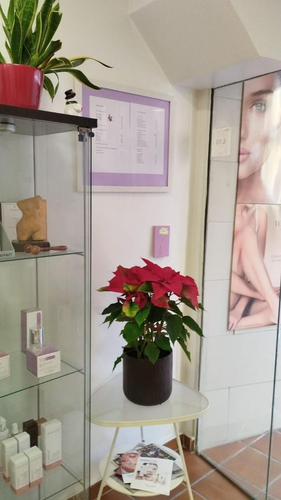 Planta en maceta sobre una mesa pequeña en un entorno tipo spa con vitrina de vidrio y póster de cuidado de la piel.