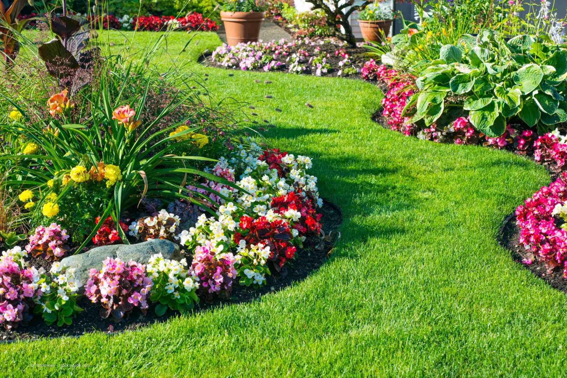 Garten- und Landschaftsbau M. Krusen – ein dekorativ gestalteter Garten mit frischem Rasen und Zierpflanzen in verschiedenen Farben