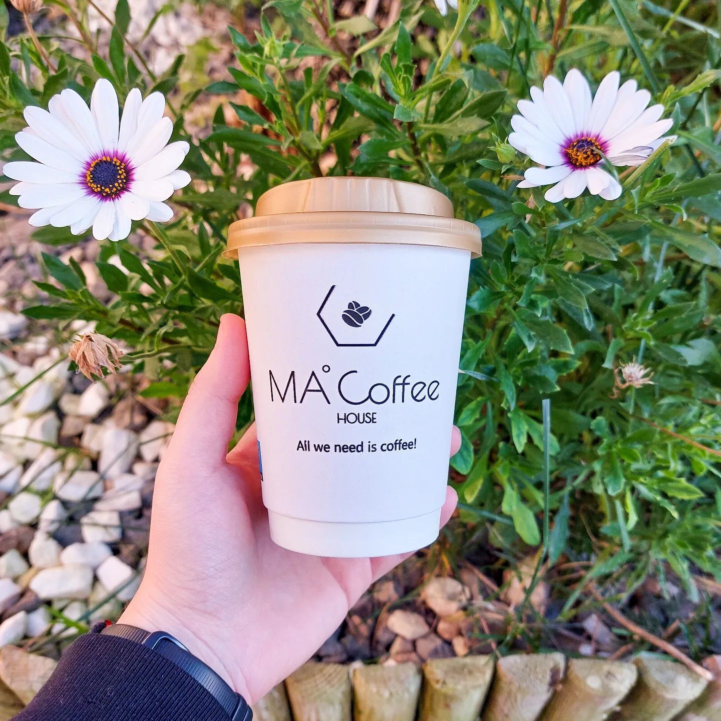 Εκτυπώσεις Ποτηριών