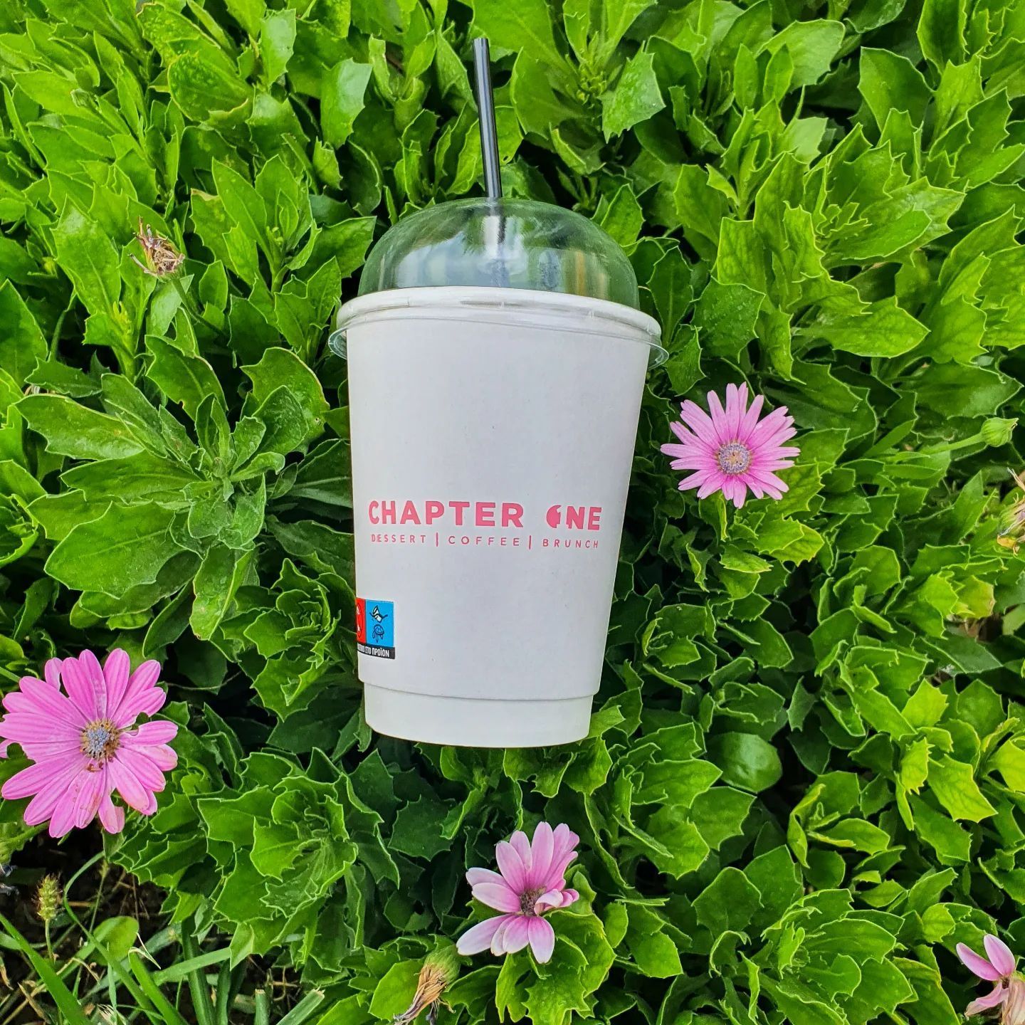 Εκτυπώσεις Ποτηριών