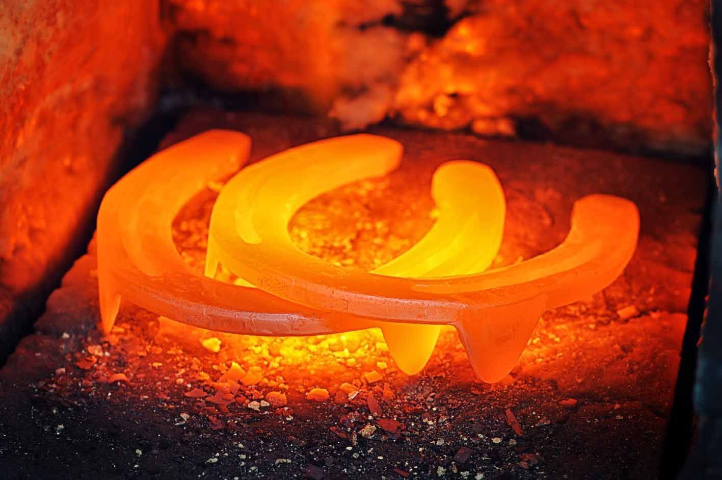 Hufschmied - Rüfenach AG - Hufschmiedin Franziska Hauenstein