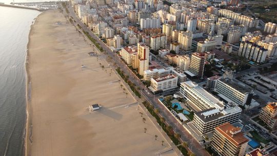 dejamos toda la ciudad y tu hogar limpio de plagas
