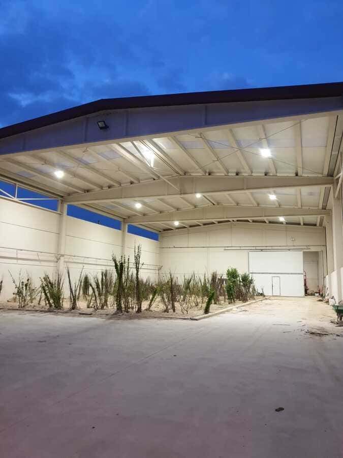 Un interior de almacén abierto al anochecer, con plantas en el centro y luces brillantes en el techo.