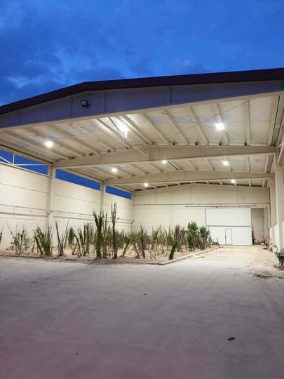 Un interior de almacén abierto al anochecer, con plantas en el centro y luces brillantes en el techo.