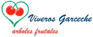 Logotipo con cerezas rojas dentro de un corazón verde, 