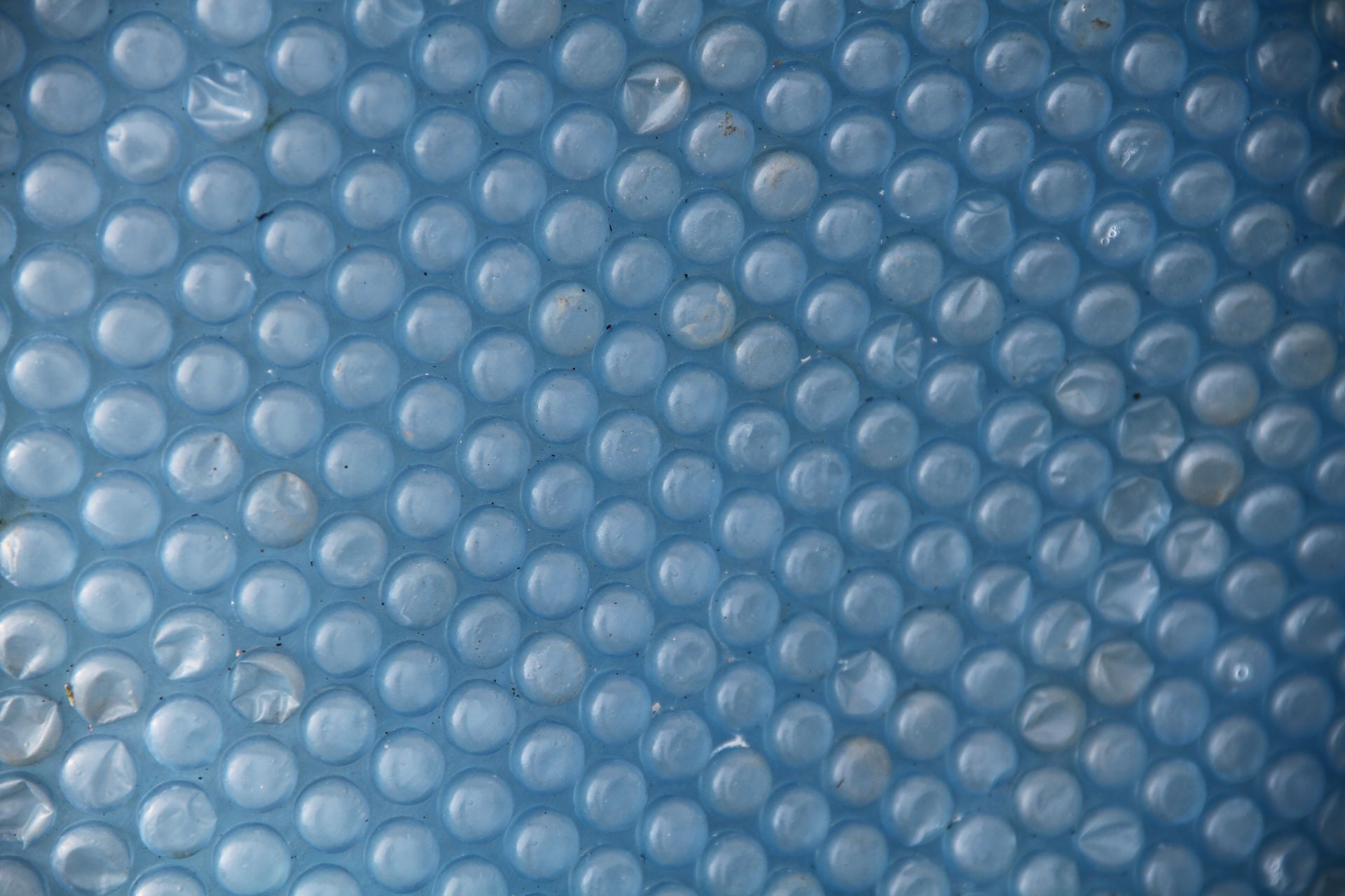 Gros plan sur la texture d'un film à bulles bleu avec des rangées de petits cercles en relief.
