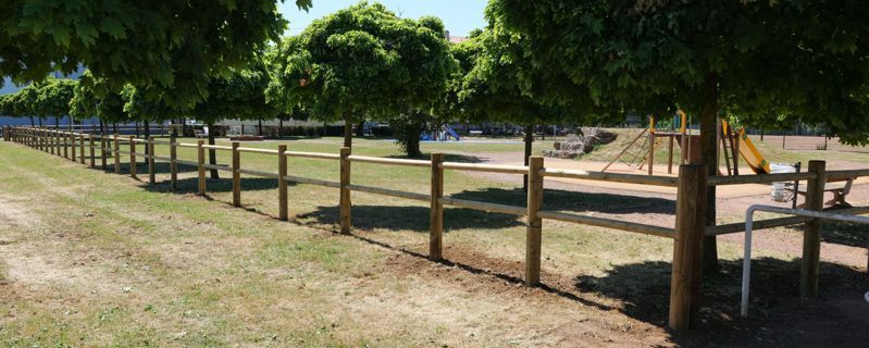 Un parc avec des arbres derrière une clôture