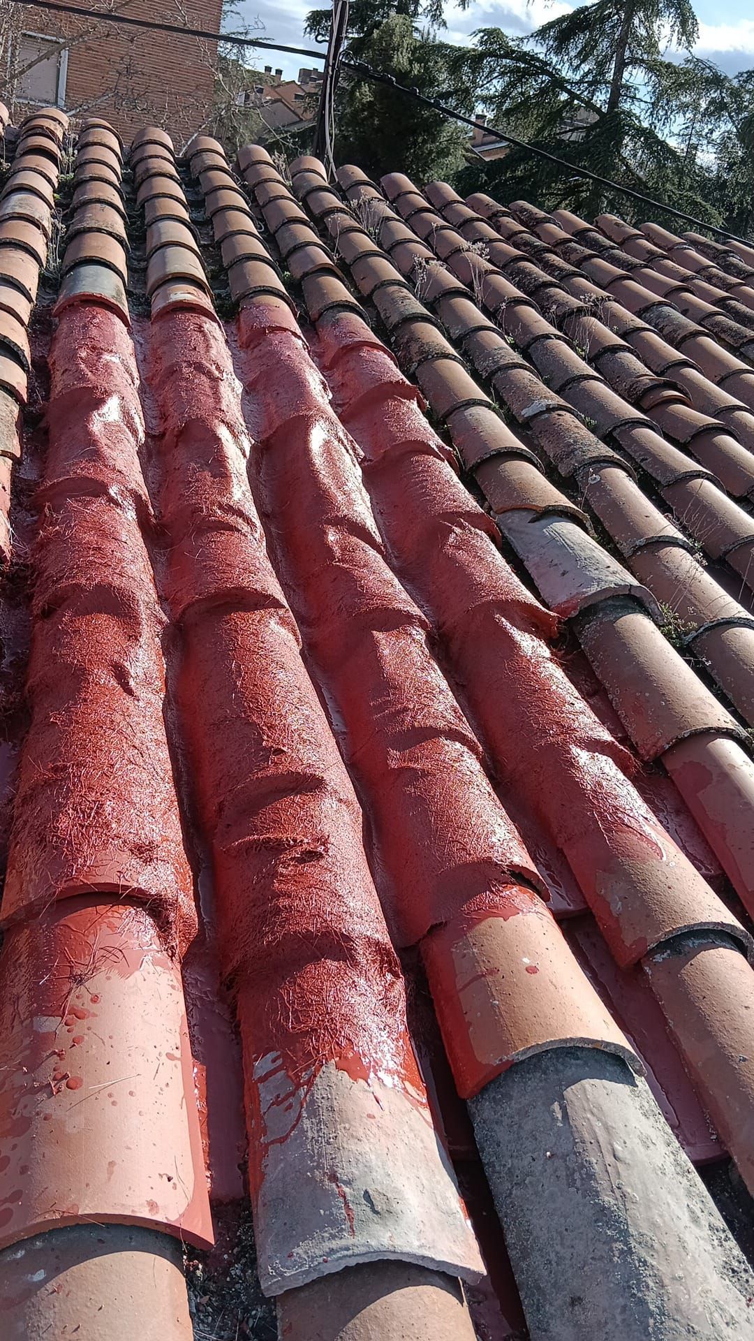 Tejas de terracota iluminadas por el sol, con varias tejas pintadas de rojo y árboles al fondo.