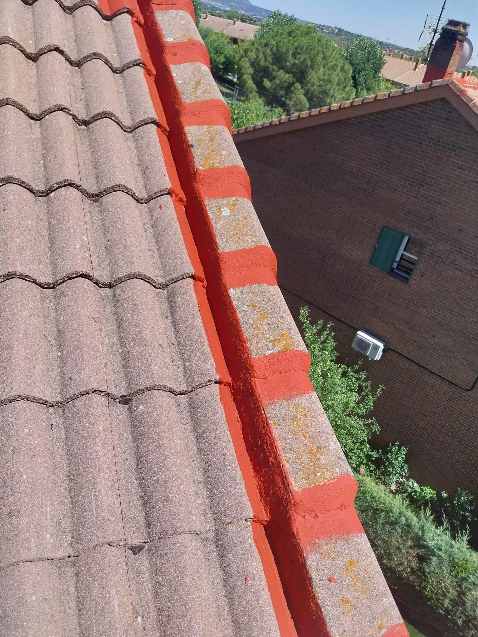 Primer plano de la cumbrera de un tejado de tejas rojas junto a una casa marrón y árboles verdes bajo un cielo soleado.