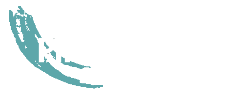 Pintaliitäjät