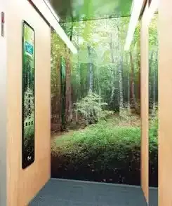 Interior do elevador com um mural de floresta na parede do fundo. Painéis de madeira e carpete azul.