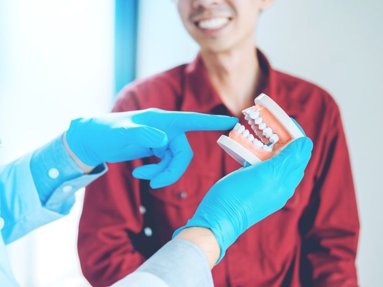 Un dentista le muestra un modelo de dientes a un paciente.