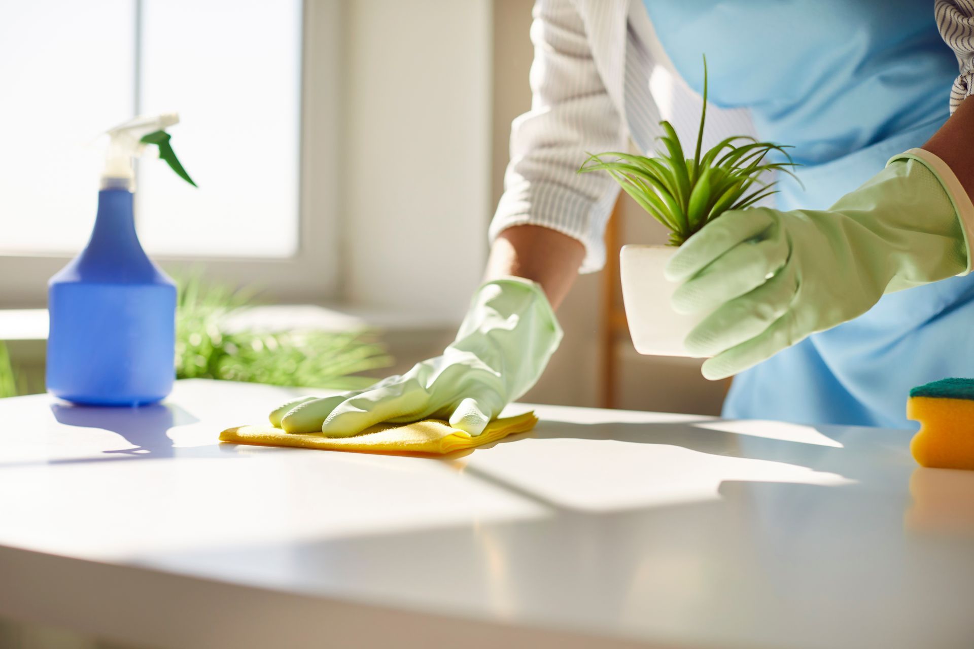 Des mains gantées nettoient un comptoir blanc avec un vaporisateur et un chiffon à côté d'une petite plante en pot