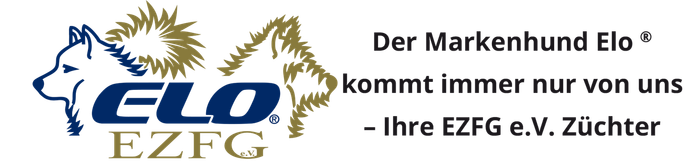 Zur EZFG-Seite