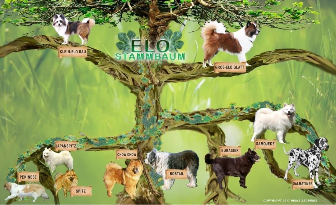A tree with a bunch of dogs on it