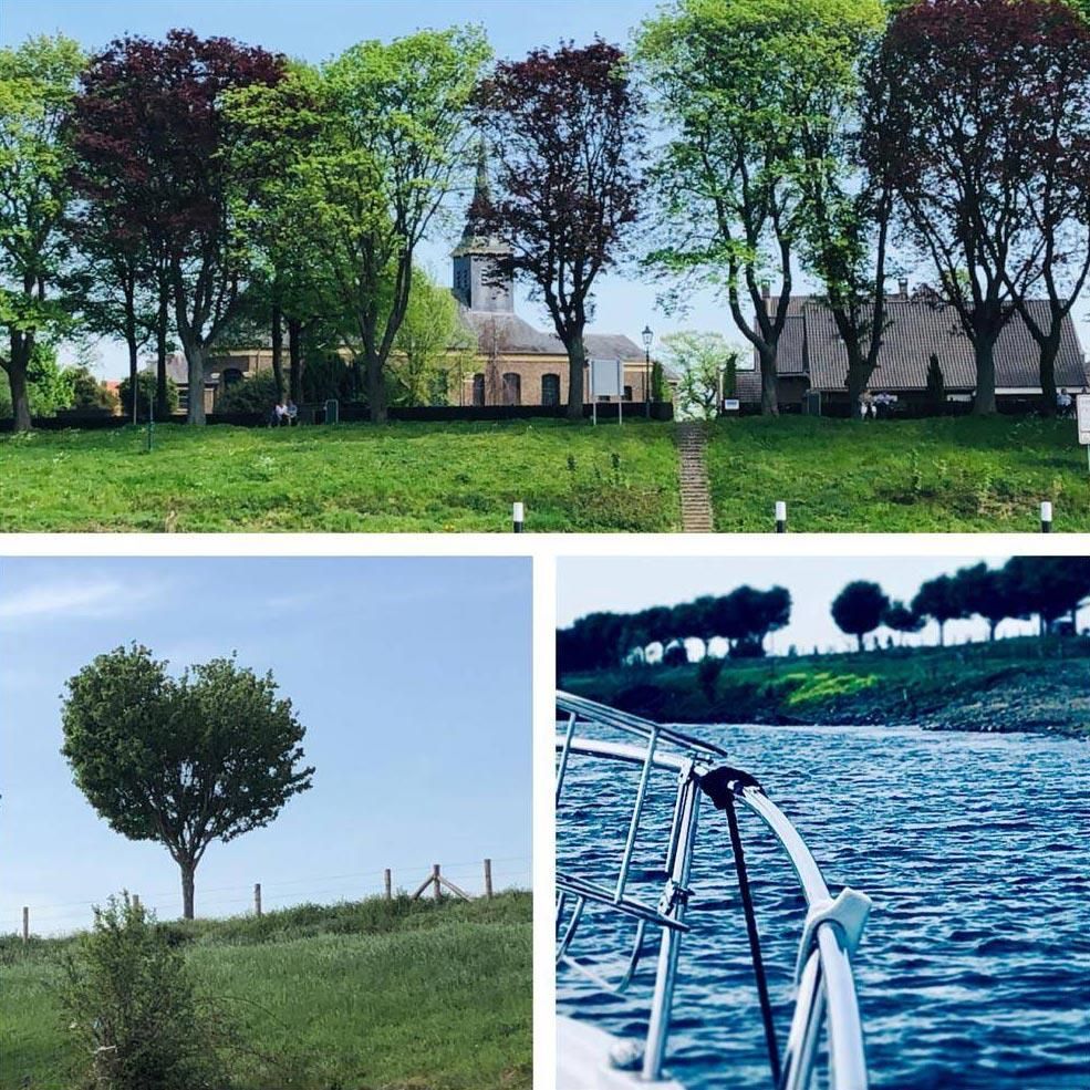 Eine Collage aus drei Bildern zeigt Bäume und ein Boot