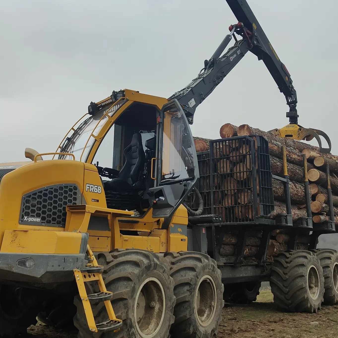 Máquina maderera amarilla cargando troncos en un remolque en un campo fangoso.