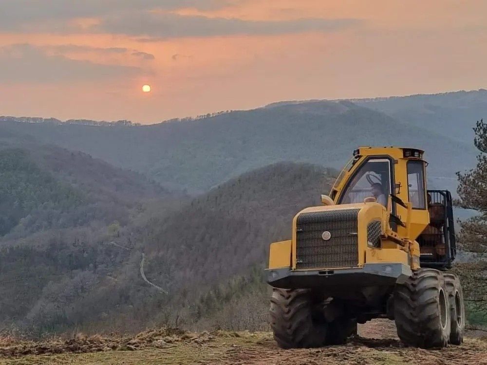 Maquinaria forestal amarilla en la cima de una colina al anochecer, con vistas a un valle boscoso con un camino sinuoso.