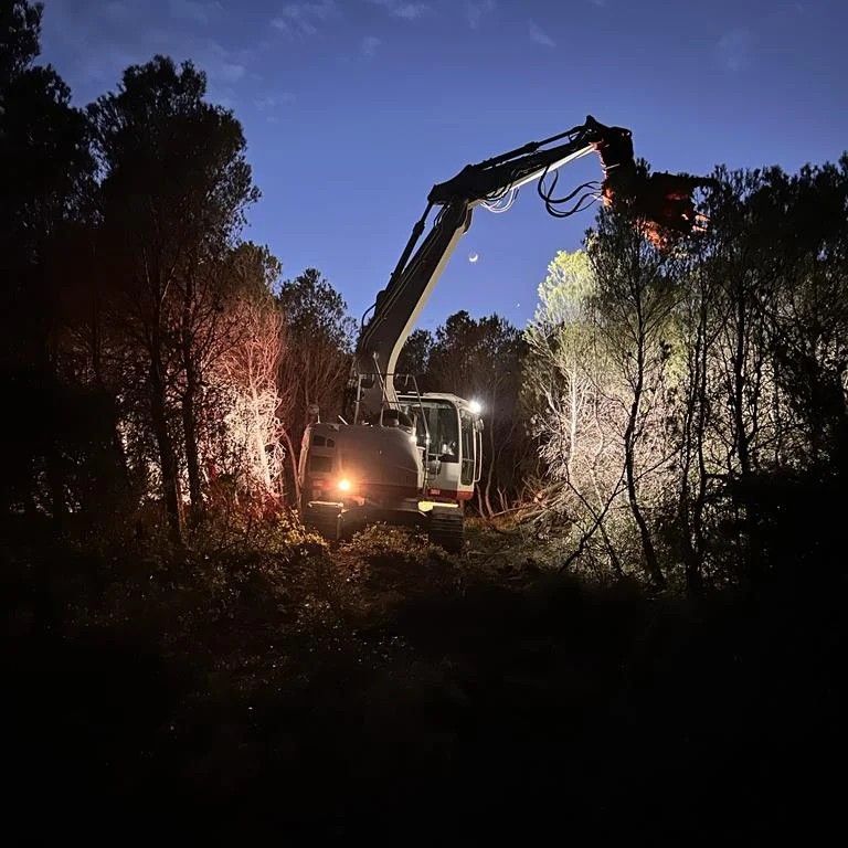 Excavadora talando árboles por la noche, iluminada por sus luces, bajo un cielo azul oscuro.
