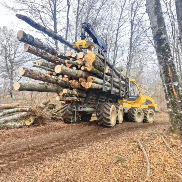 Una máquina maderera amarilla cargada con troncos de árboles en un bosque.