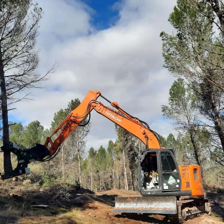Excavadora Hitachi naranja talando un árbol en un claro del bosque bajo un cielo nublado.